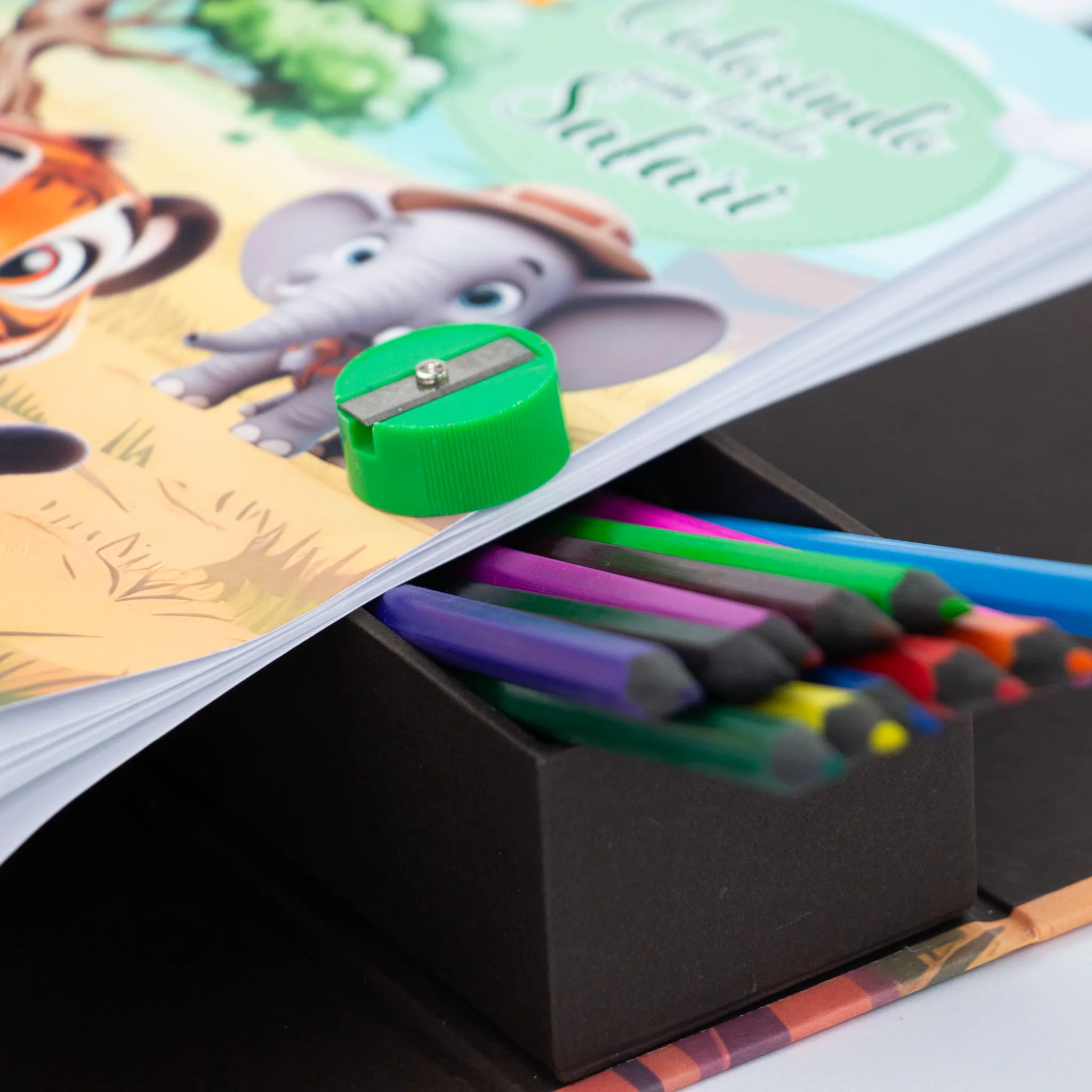 Maleta Cartonada com Kit Colorir - Imagem 14