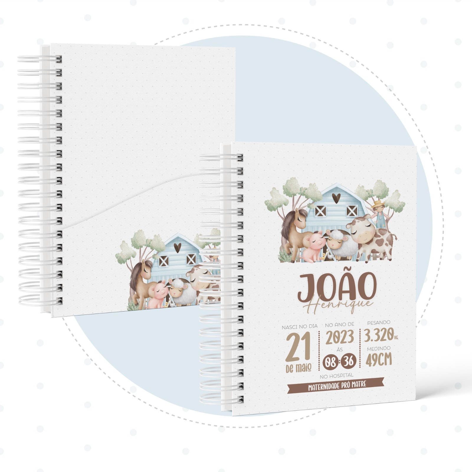 Caderneta de Saúde - Fazendinha Menino - Image 3