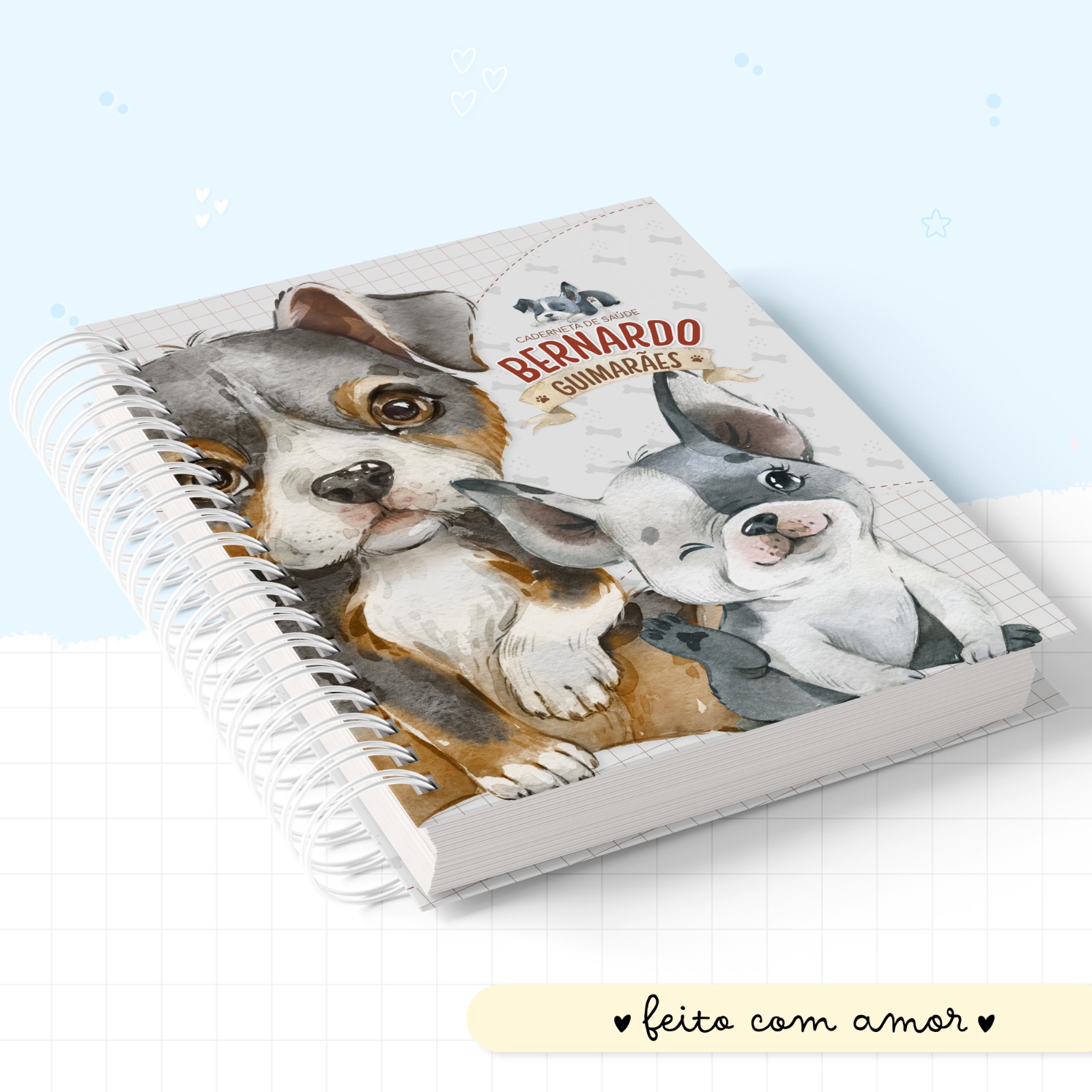 Caderneta de saúde - Pet Boy