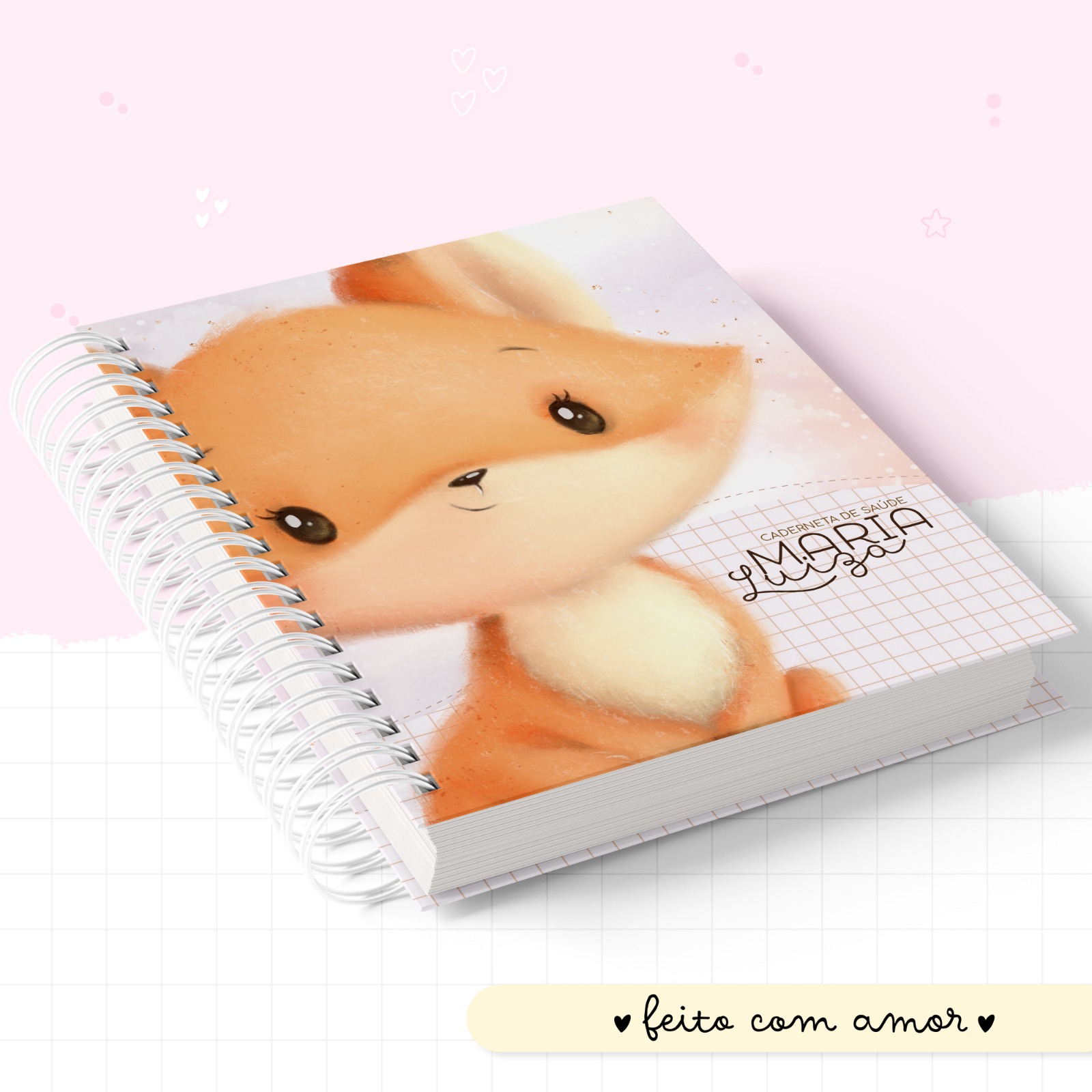 Caderneta de saúde - Raposa