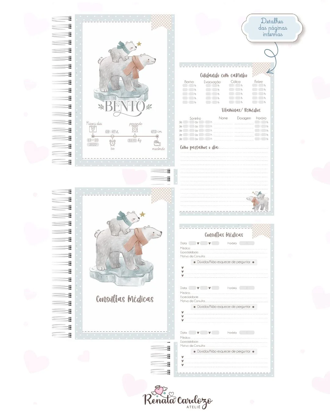 Urso Polar - Imagem 3
